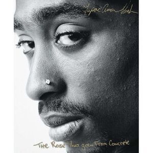 The Rose That Grew from Concrete -- Tupac Shakur